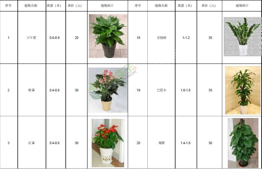 植物租賃價格明細表